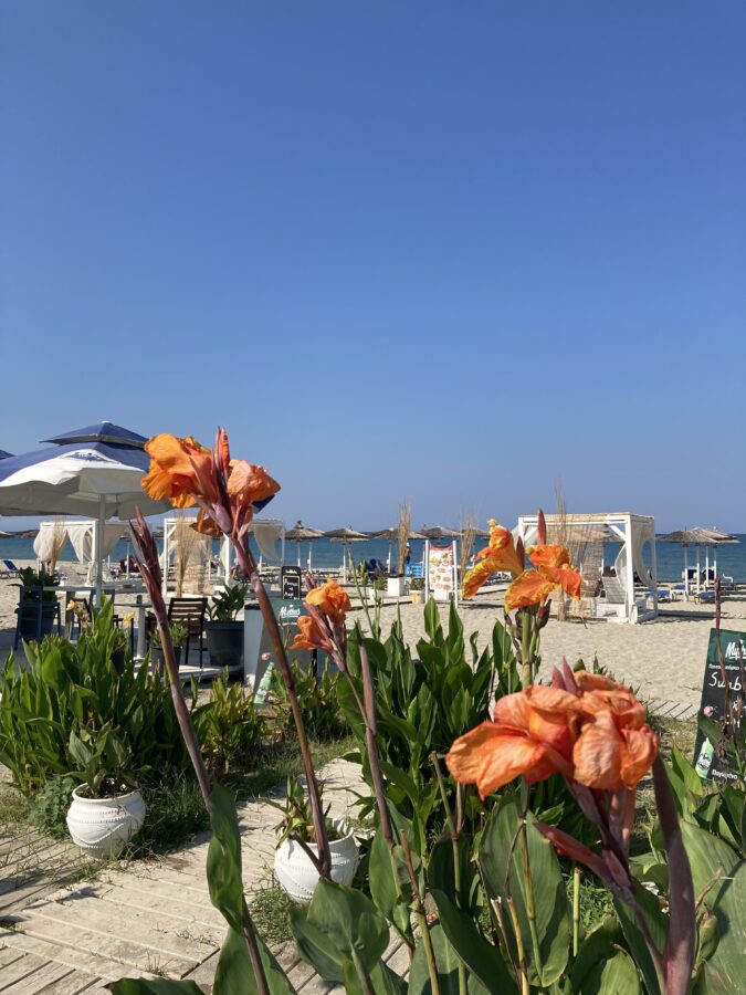 Morning next to the sea